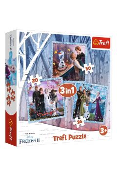 Puzzle 3w1 Magiczna opowie Frozen 2 Trefl