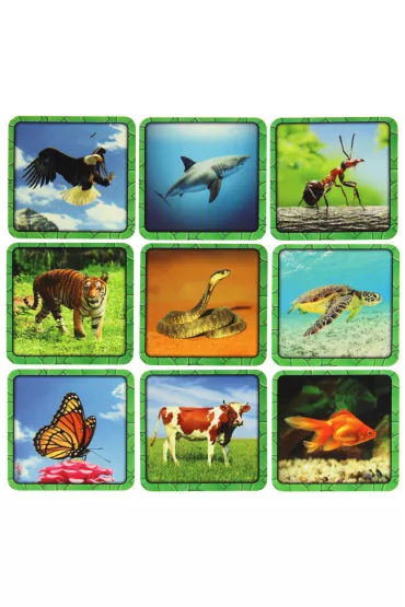 Gatunki FoxGames - Jean-Claude Pellin, Christian Kruchten