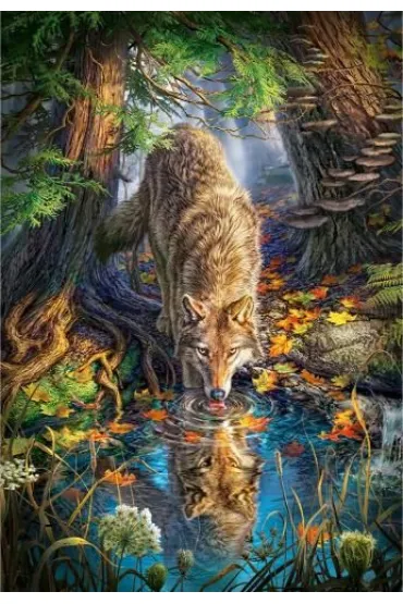 Puzzle 1500 el. Wilk na wolno�ci Castorland
