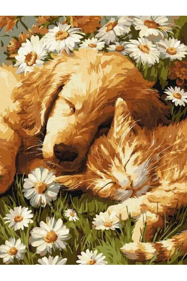 Ideyka Malowanie po numerach - P�atki i wierno�� 30x40cm