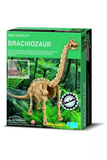 Wykopaliska - Brachiosaurus 4M