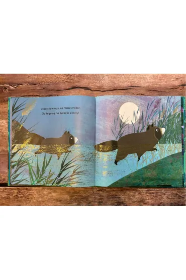 Od kiedy jestem twoj� siostr� - Britta Teckentrup, Shane  Susannah