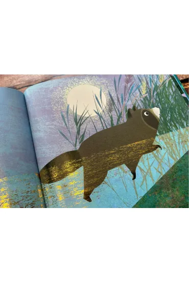 Od kiedy jestem twoj� siostr� - Britta Teckentrup, Shane  Susannah