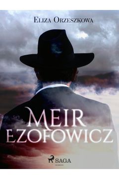 eBook Meir Ezofowicz mobi epub