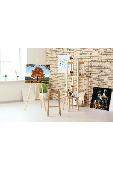 Twoje Hobby Malowanie po numerach - Jack Daniels 40x50cm