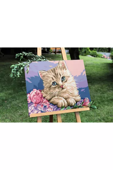 Twoje Hobby Malowanie po numerach - Niebieskooki kotek 40x50cm