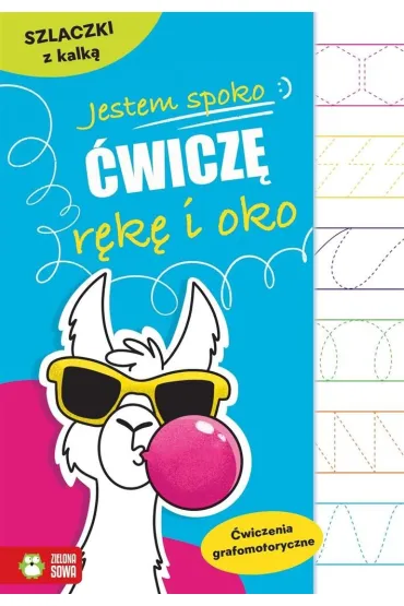 Szlaczki z kalk�. �wiczenia grafomotoryczne. Jestem spoko. �wicz� r�k� i oko - Ewelina Protasewicz