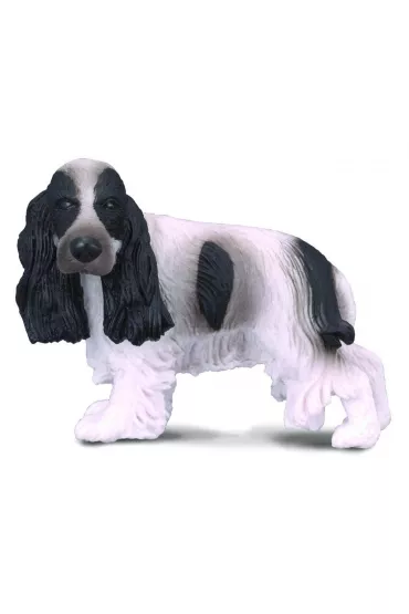 Pies cocker spaniel angielski