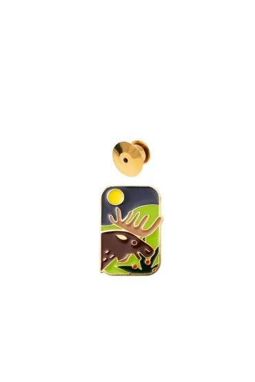 Pin ��