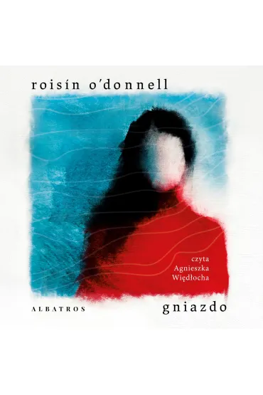 Audiobook Gniazdo mp3 - Roisin O`Donnell