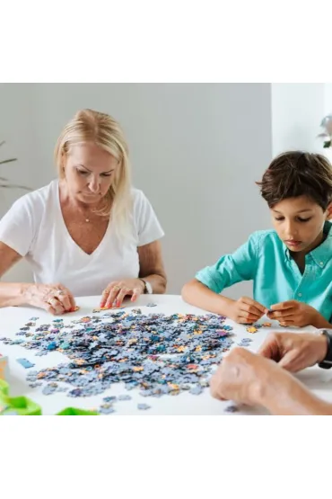 Puzzle Hidden Shapes 1011 el. Kocie wakacje Trefl