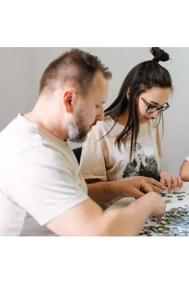 Puzzle Hidden Shapes 1011 el. Kocie wakacje Trefl