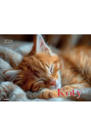 Kalendarze �cienne Kalendarz albumowy 2026 Koty KA-1