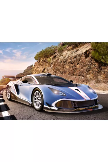 Puzzle 260 el. Arrinera Hussarya GT Castorland