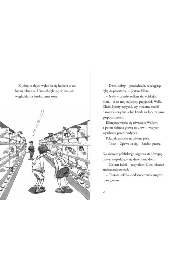 Nelly Rapp i nawiedzona szko�a. Nelly Rapp. Tom 17 - Martin Widmark