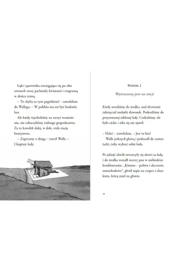 Nelly Rapp i nawiedzona szko�a. Nelly Rapp. Tom 17 - Martin Widmark