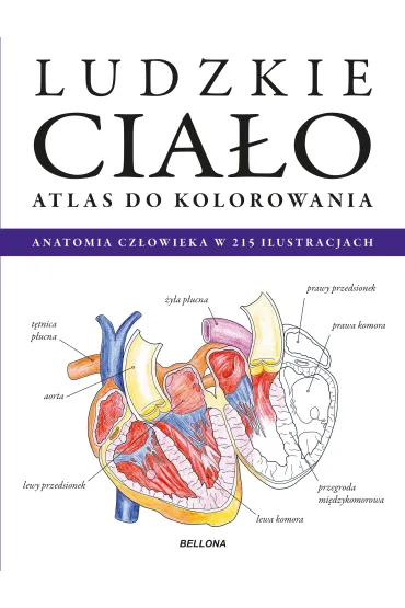 Ludzkie cia�o. Atlas do kolorowania