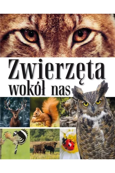 Zwierzta wok nas. Encyklopedia dla dzieci