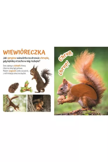 Pog�aszcz Dzikie Zwierz�tko. Przytulki