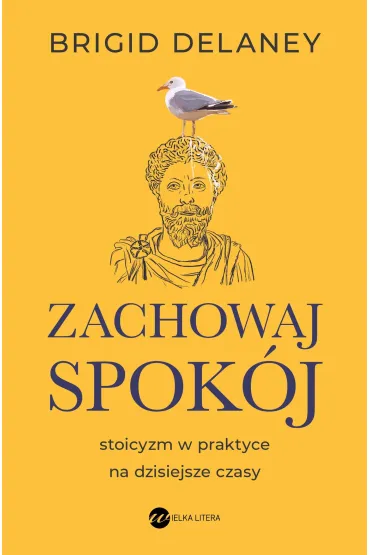 Zachowaj spokj. Stoicyzm w praktyce na dzisiejsze czasy - Brigid Delaney