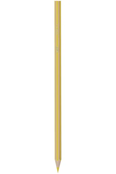 Bic Kredki Eco Evolution Stripes 24 szt.
