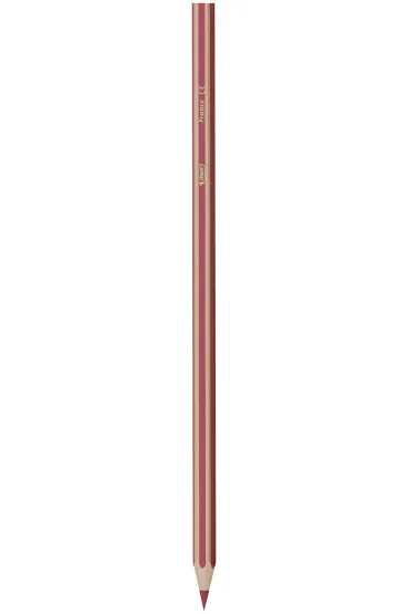 Bic Kredki Eco Evolution Stripes 24 szt.