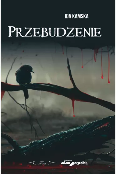 Przebudzenie - Ida Kamska