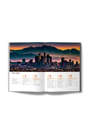 Los Angeles w blasku neon�w. Popkulturowa podr� przez dekady - Beata  DeSantis