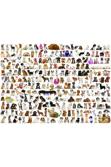 Puzzle 1000 el. �wiat ps�w Eurographics