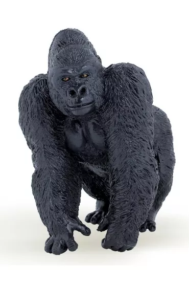 Goryl