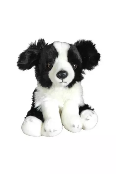 Border Collie 30cm Dubi