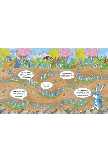 Elmer Search and Find Animals - David McKee