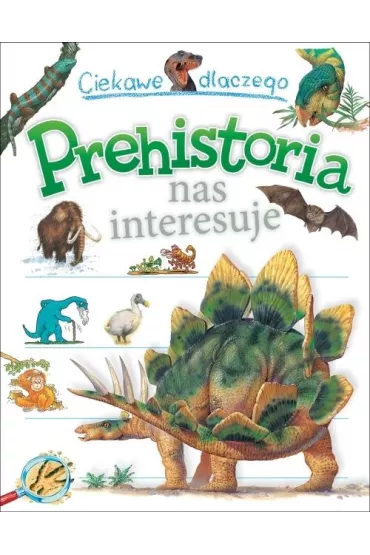 Ciekawe dlaczego Prehistoria nas interesuje