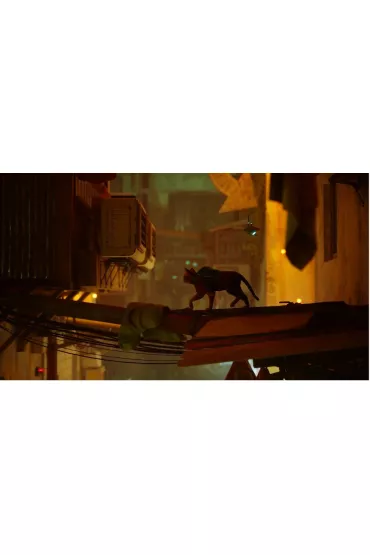 Gra PlayStation 4 Stray
