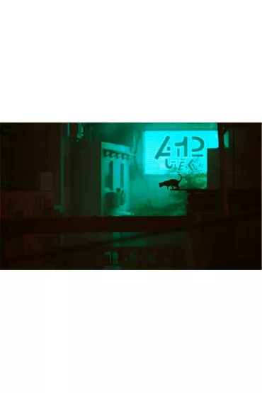 Gra PlayStation 4 Stray