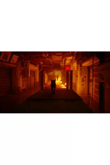 Gra PlayStation 4 Stray