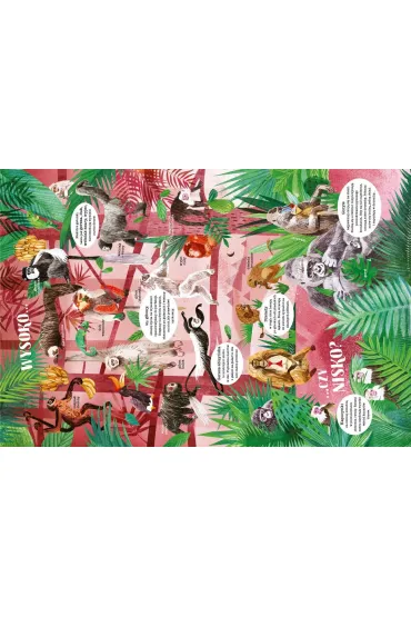 W �wiecie ma�p - Asia Gwis