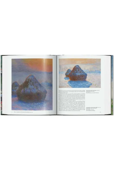 Monet. The Triumph of Impressionism wer. angielska - Daniel  Wildenstein