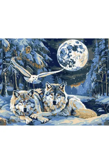 Ideyka Malowanie po numerach - Drapie�niki i m�dro�� 40x50cm
