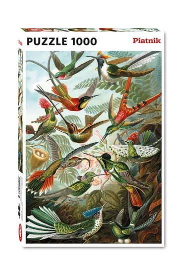 Puzzle 1000 el. Kolibry Piatnik