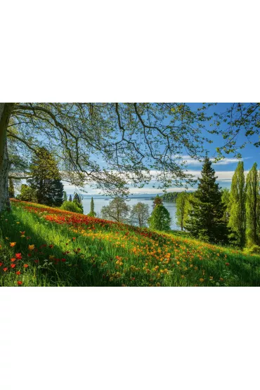 Puzzle 1000 el. Wyspa kwitn�cych tulipan�w Schmidt