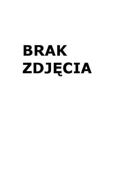 Penword Etykiety samoprzylepne A4 65x38x21.2mm 100 szt.