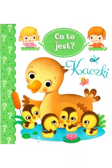 Co to jest? Kaczki - Emilie Beaumont, Nathalie Belineau, Federica Iossa