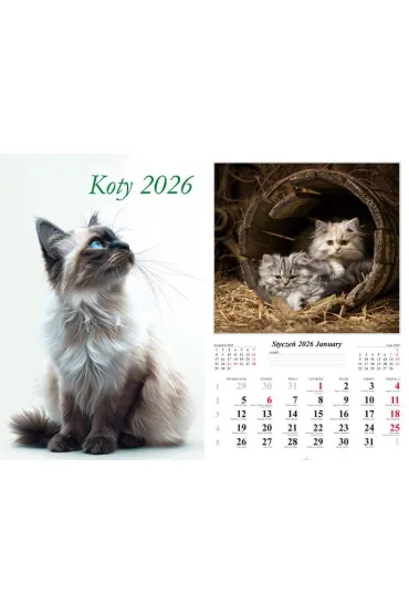 Kalendarz �cienny 2026 Koty