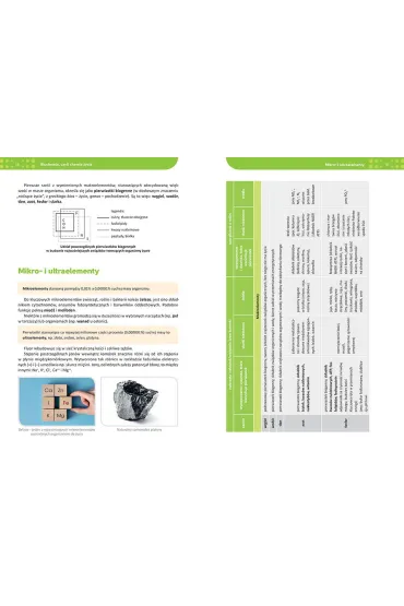 Biologia. Repetytorium. Liceum i technikum 2026 - Maciej Miko�ajczyk, Jolanta Zygmunt, Kornelia W�jcik
