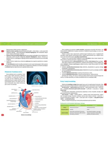 Biologia. Repetytorium. Liceum i technikum 2026 - Maciej Miko�ajczyk, Jolanta Zygmunt, Kornelia W�jcik