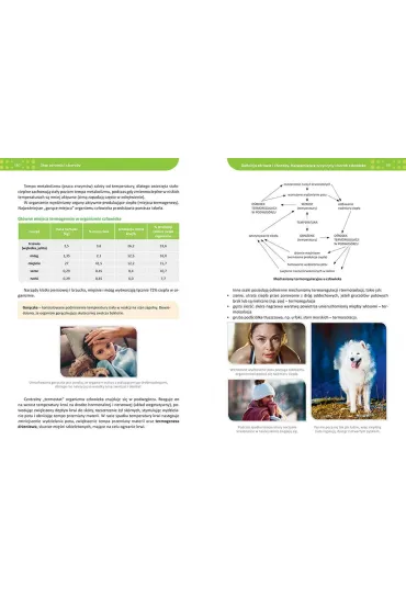 Biologia. Repetytorium. Liceum i technikum 2026 - Maciej Miko�ajczyk, Jolanta Zygmunt, Kornelia W�jcik