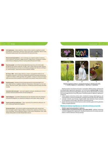 Biologia. Repetytorium. Liceum i technikum 2026 - Maciej Miko�ajczyk, Jolanta Zygmunt, Kornelia W�jcik