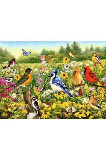 Puzzle 500 el. 2D Ptaki Ravensburger