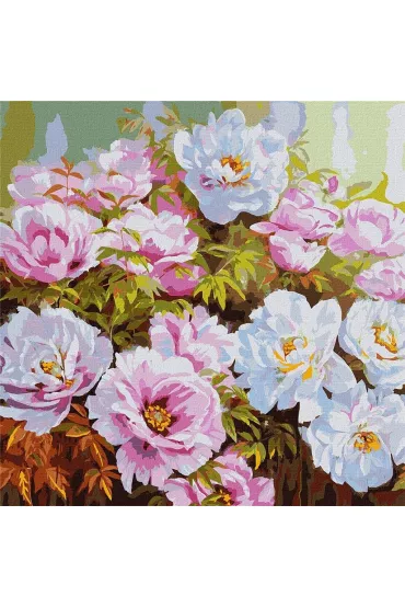 Ideyka Malowanie po numerach - R�norodno�� piwonii 50x50cm